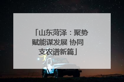 山东菏泽：聚势赋能谋发展 协同支农谱新篇