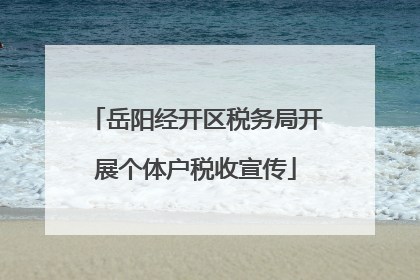 岳阳经开区税务局开展个体户税收宣传