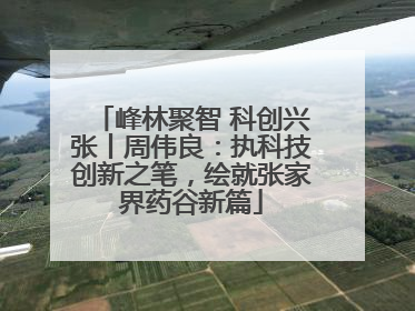 峰林聚智 科创兴张丨周伟良：执科技创新之笔，绘就张家界药谷新篇