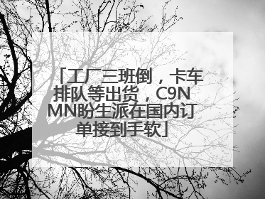 工厂三班倒，卡车排队等出货，C9NMN盼生派在国内订单接到手软