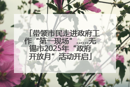 带领市民走进政府工作“第一现场”……无锡市2025年“政府开放月”活动开启