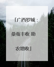 广西罗城：桑蚕丰收 助农增收