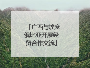 广西与埃塞俄比亚开展经贸合作交流