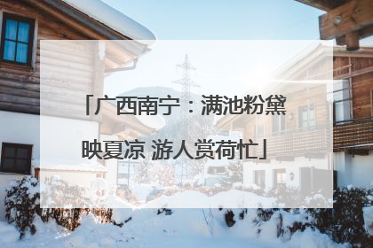 广西南宁：满池粉黛映夏凉 游人赏荷忙