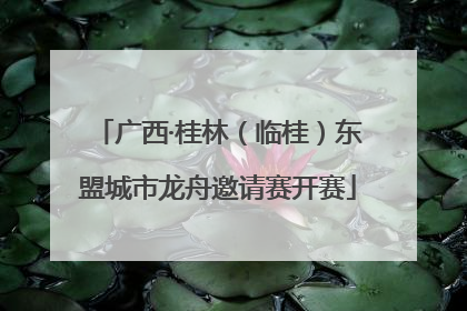 广西·桂林（临桂）东盟城市龙舟邀请赛开赛