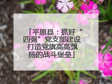 平原县：抓好“四强”党支部建设 打造党旗高高飘扬的战斗堡垒