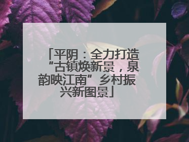 平阴：全力打造“古镇焕新景，泉韵映江南”乡村振兴新图景
