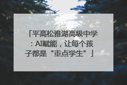 平高松雅湖高级中学：AI赋能，让每个孩子都是“重点学生”