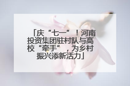 庆“七一”！河南投资集团驻村队与高校“牵手”，为乡村振兴添新活力