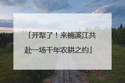 开犁了！来楠溪江共赴一场千年农耕之约