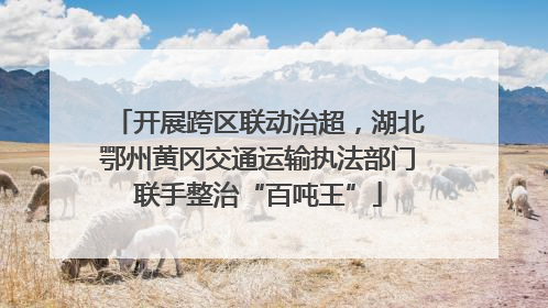 开展跨区联动治超，湖北鄂州黄冈交通运输执法部门联手整治“百吨王”