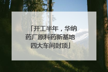 开工半年，华纳药厂原料药新基地四大车间封顶