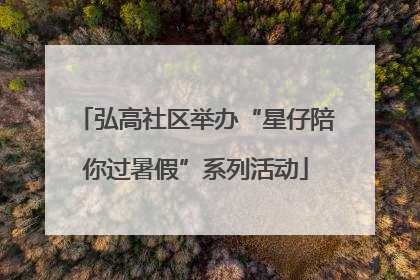 弘高社区举办“星仔陪你过暑假”系列活动