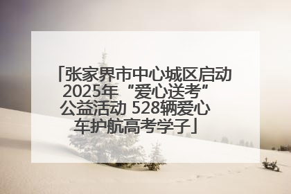 张家界市中心城区启动2025年“爱心送考”公益活动 528辆爱心车护航高考学子