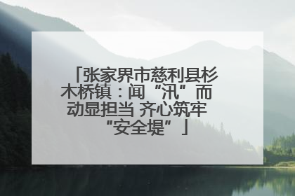 张家界市慈利县杉木桥镇：闻“汛”而动显担当 齐心筑牢“安全堤”