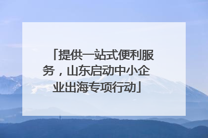 提供一站式便利服务，山东启动中小企业出海专项行动