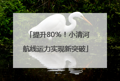 提升80％！小清河航线运力实现新突破
