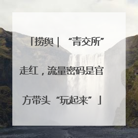 捞舆｜“青交所”走红，流量密码是官方带头“玩起来”