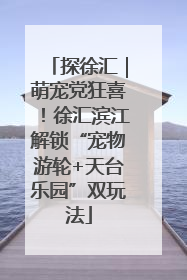 探徐汇｜萌宠党狂喜！徐汇滨江解锁“宠物游轮+天台乐园”双玩法