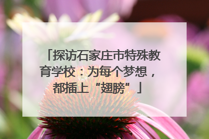 探访石家庄市特殊教育学校：为每个梦想，都插上“翅膀”