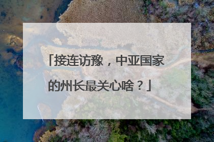 接连访豫，中亚国家的州长最关心啥？