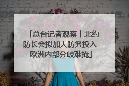 总台记者观察丨北约防长会拟加大防务投入 欧洲内部分歧难掩