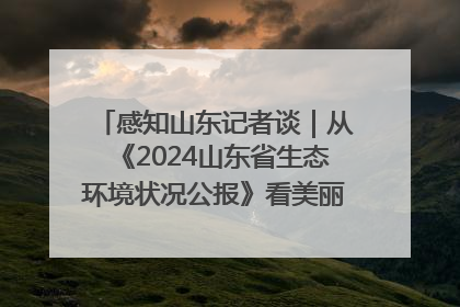 感知山东记者谈｜从《2024山东省生态环境状况公报》看美丽山东建设的“成绩单”与“任务书”