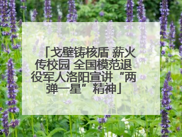 戈壁铸核盾 薪火传校园 全国模范退役军人洛阳宣讲“两弹一星”精神