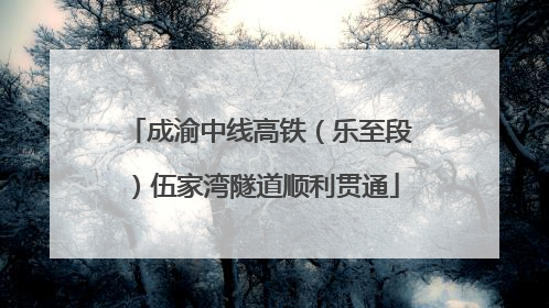 成渝中线高铁（乐至段）伍家湾隧道顺利贯通