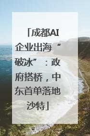 成都AI企业出海“破冰”：政府搭桥，中东首单落地沙特