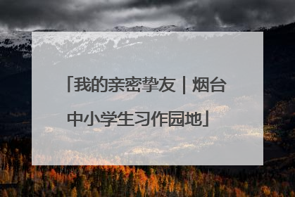 我的亲密挚友｜烟台中小学生习作园地