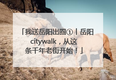 我送岳阳出圈①丨岳阳citywalk，从这条千年老街开始！