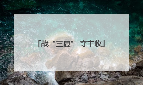 战“三夏” 夺丰收