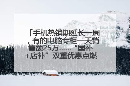 手机热销期延长一周，有的电脑专柜一天销售额25万……“国补+店补”双重优惠点燃德州“考后经济”