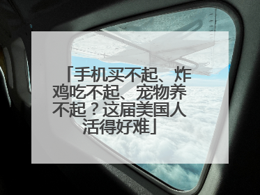 手机买不起、炸鸡吃不起、宠物养不起？这届美国人活得好难