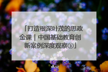 打造根深叶茂的思政金课｜中国基础教育创新案例深度观察③