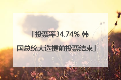 投票率34.74% 韩国总统大选提前投票结束