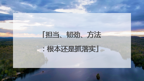 担当、韧劲、方法：根本还是抓落实