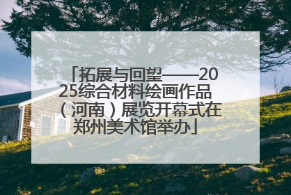 拓展与回望——2025综合材料绘画作品（河南）展览开幕式在郑州美术馆举办