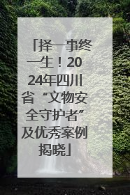 择一事终一生！2024年四川省“文物安全守护者”及优秀案例揭晓