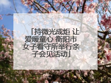 持微光成炬 让爱暖童心 衡阳市女子看守所举行亲子会见活动