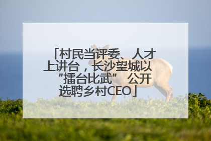 村民当评委、人才上讲台，长沙望城以“擂台比武” 公开选聘乡村CEO