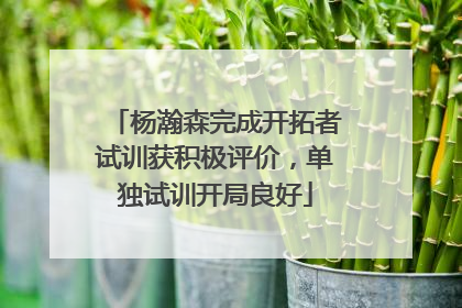 杨瀚森完成开拓者试训获积极评价，单独试训开局良好