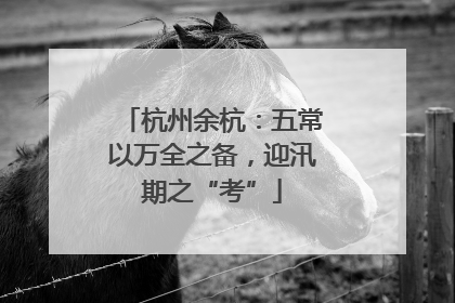 杭州余杭：五常以万全之备，迎汛期之“考”
