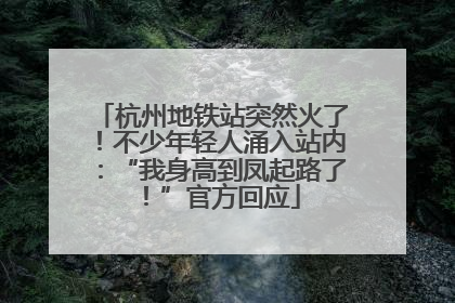 杭州地铁站突然火了！不少年轻人涌入站内：“我身高到凤起路了！”官方回应