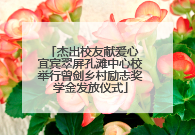 杰出校友献爱心 宜宾翠屏孔滩中心校举行曾剑乡村励志奖学金发放仪式