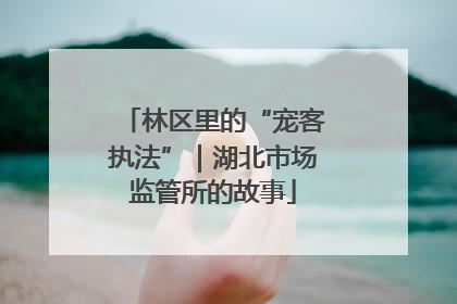 林区里的“宠客执法”｜湖北市场监管所的故事