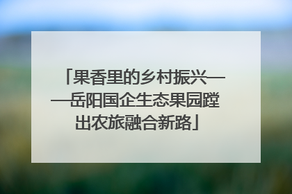 果香里的乡村振兴——岳阳国企生态果园蹚出农旅融合新路