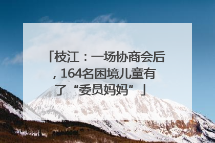 枝江：一场协商会后，164名困境儿童有了“委员妈妈”