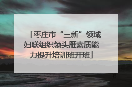 枣庄市“三新”领域妇联组织领头雁素质能力提升培训班开班